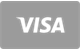 Visa card payment accepted at GoldZino Casino
